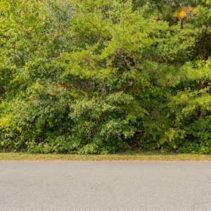 Photo #24 of Off Pony Farm Drive, Siler City , NC 8.1 acres