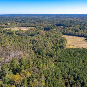 Photo #9 of Off Millie-Christine Road, Whiteville , NC 9.3 acres