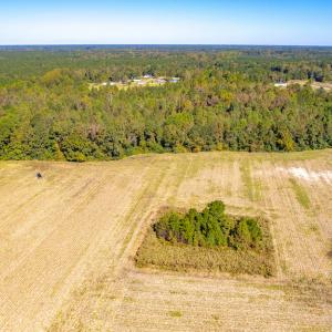 Photo #18 of SOLD property in Off Millie-Christine Road, Whiteville, NC 9.3 acres