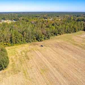 Photo #19 of Off Millie-Christine Road, Whiteville , NC 9.3 acres