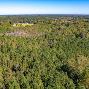 Photo #20 of Off Millie-Christine Road, Whiteville , NC 9.3 acres