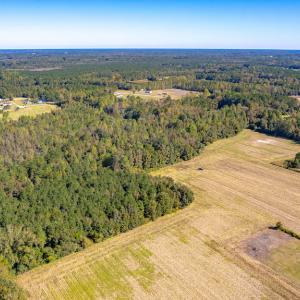 Photo #7 of Off Millie-Christine Road, Whiteville , NC 9.3 acres