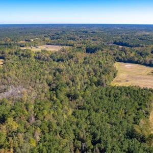 Photo #8 of Off Millie-Christine Road, Whiteville , NC 9.3 acres