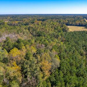 Photo #21 of SOLD property in Off Millie-Christine Road, Whiteville, NC 9.3 acres