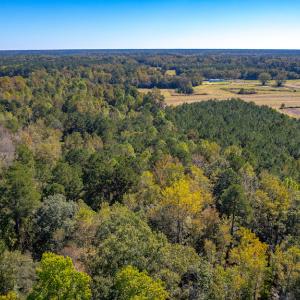 Photo #22 of Off Millie-Christine Road, Whiteville , NC 9.3 acres
