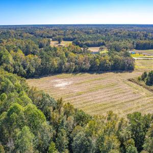 Photo #25 of SOLD property in Off Millie-Christine Road, Whiteville, NC 9.3 acres