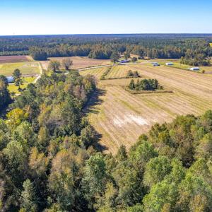 Photo #26 of Off Millie-Christine Road, Whiteville , NC 9.3 acres