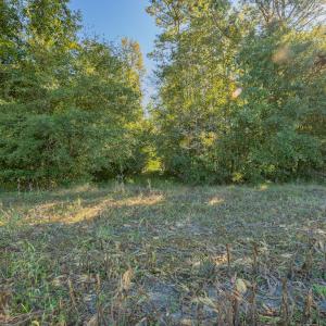 Photo #27 of Off Millie-Christine Road, Whiteville , NC 9.3 acres