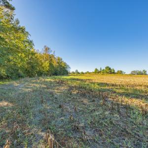 Photo #28 of Off Millie-Christine Road, Whiteville , NC 9.3 acres