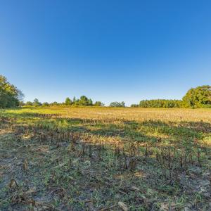 Photo #29 of Off Millie-Christine Road, Whiteville , NC 9.3 acres
