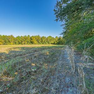 Photo #30 of Off Millie-Christine Road, Whiteville , NC 9.3 acres