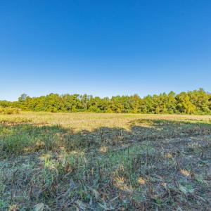 Photo #31 of Off Millie-Christine Road, Whiteville , NC 9.3 acres