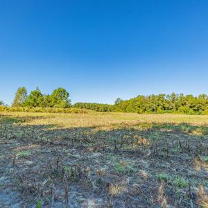 Photo #32 of Off Millie-Christine Road, Whiteville , NC 9.3 acres