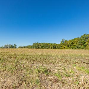 Photo #33 of Off Millie-Christine Road, Whiteville , NC 9.3 acres