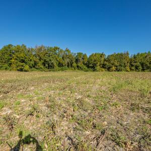 Photo #34 of Off Millie-Christine Road, Whiteville , NC 9.3 acres