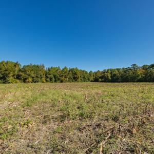 Photo #35 of Off Millie-Christine Road, Whiteville , NC 9.3 acres