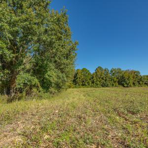 Photo #36 of Off Millie-Christine Road, Whiteville , NC 9.3 acres