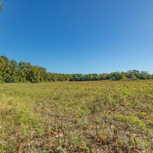 Photo #37 of Off Millie-Christine Road, Whiteville , NC 9.3 acres