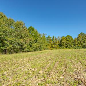 Photo #38 of Off Millie-Christine Road, Whiteville , NC 9.3 acres