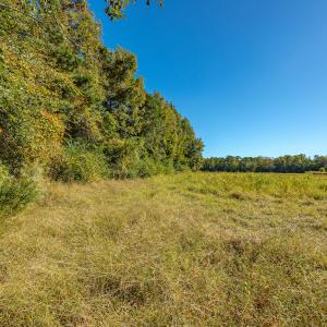 Photo #39 of Off Millie-Christine Road, Whiteville , NC 9.3 acres