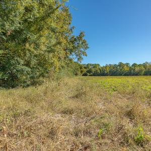 Photo #40 of Off Millie-Christine Road, Whiteville , NC 9.3 acres