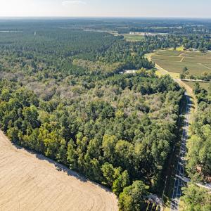 Photo #10 of Off Mote Road, Harrells, NC 15.7 acres