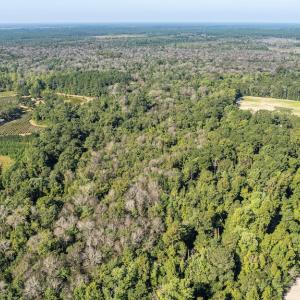 Photo #11 of SOLD property in Off Mote Road, Harrells, NC 15.7 acres