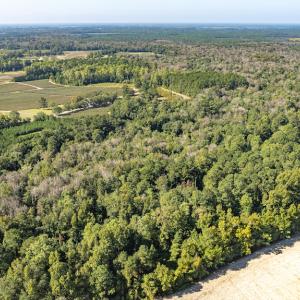 Photo #12 of Off Mote Road, Harrells, NC 15.7 acres