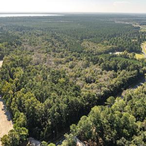 Photo #13 of Off Mote Road, Harrells, NC 15.7 acres