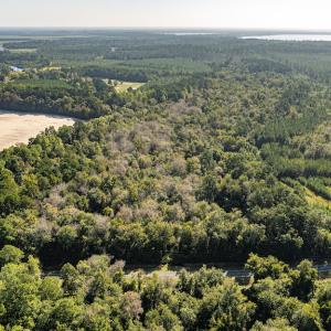 Photo #14 of Off Mote Road, Harrells, NC 15.7 acres