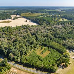 Photo #15 of Off Mote Road, Harrells, NC 15.7 acres