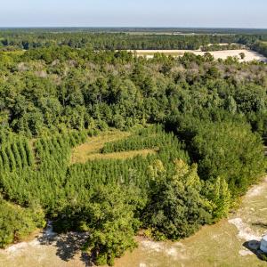 Photo #16 of Off Mote Road, Harrells, NC 15.7 acres
