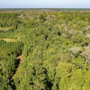 Photo #18 of Off Mote Road, Harrells, NC 15.7 acres