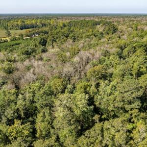 Photo #20 of Off Mote Road, Harrells, NC 15.7 acres