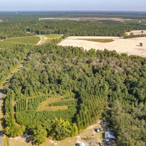 Photo #5 of Off Mote Road, Harrells, NC 15.7 acres