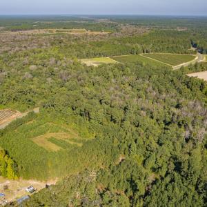 Photo #7 of Off Mote Road, Harrells, NC 15.7 acres