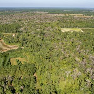 Photo #8 of Off Mote Road, Harrells, NC 15.7 acres