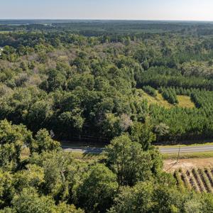 Photo #21 of Off Mote Road, Harrells, NC 15.7 acres