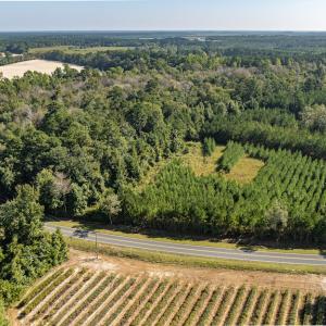 Photo #22 of Off Mote Road, Harrells, NC 15.7 acres