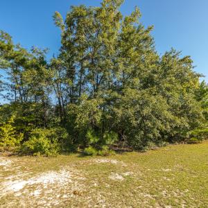 Photo #24 of Off Mote Road, Harrells, NC 15.7 acres