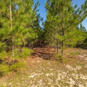 Photo #27 of Off Mote Road, Harrells, NC 15.7 acres