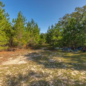 Photo #28 of Off Mote Road, Harrells, NC 15.7 acres