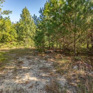 Photo #29 of Off Mote Road, Harrells, NC 15.7 acres