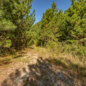 Photo #30 of Off Mote Road, Harrells, NC 15.7 acres