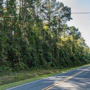 Photo #34 of Off Mote Road, Harrells, NC 15.7 acres