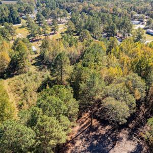 Photo #16 of SOLD property in 15565 Brian Lane , Laurel Hill, NC 5.6 acres