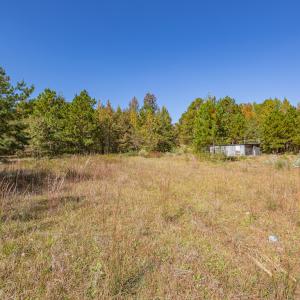 Photo #20 of SOLD property in 15565 Brian Lane , Laurel Hill, NC 5.6 acres