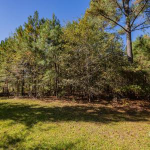 Photo #27 of SOLD property in 15565 Brian Lane , Laurel Hill, NC 5.6 acres