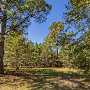 Photo #28 of SOLD property in 15565 Brian Lane , Laurel Hill, NC 5.6 acres