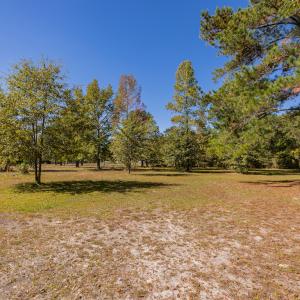 Photo #29 of SOLD property in 15565 Brian Lane , Laurel Hill, NC 5.6 acres